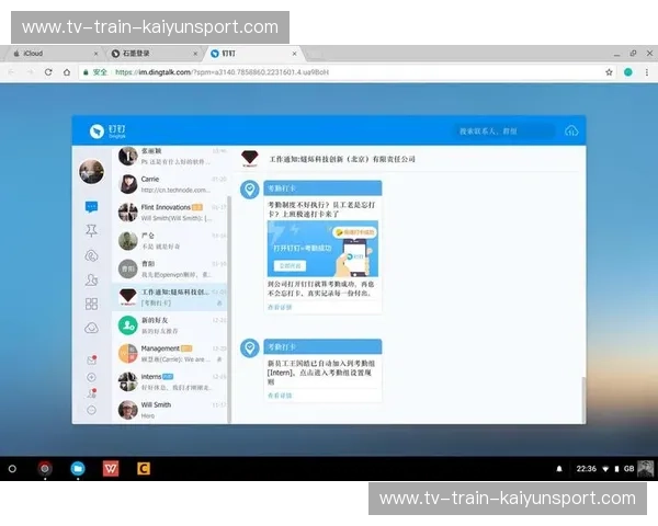 开云APP轻量版下载